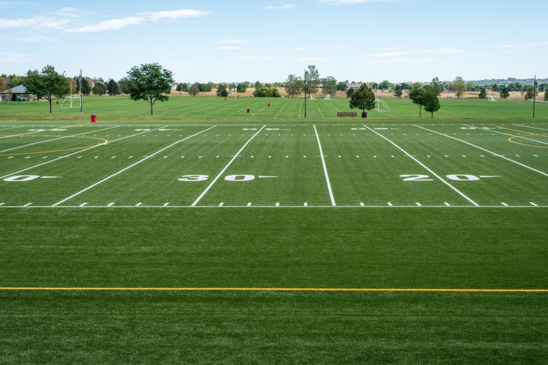 Completed Indoor Turf Field