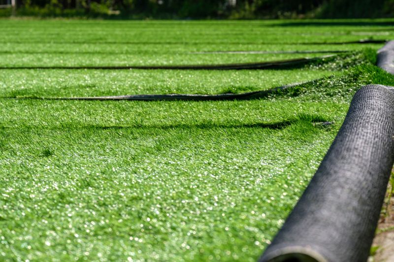 Indoor Turf Installation in Winter