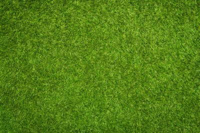 Products For Indoor Field Turf Installations in use